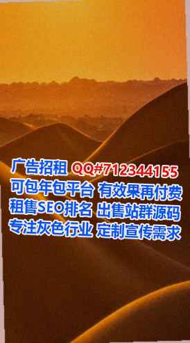 港口代生安防事务所